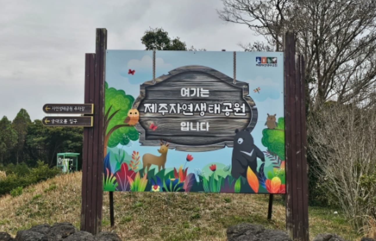 探秘济州自然生态公园:邂逅鹿与反带熊